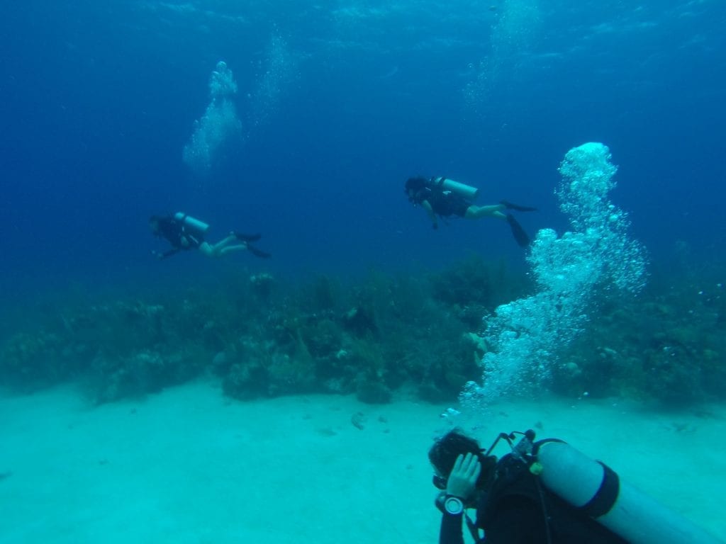 Group scuba diving at a dive site on the barrier reef