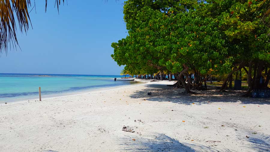 moho caye placencia