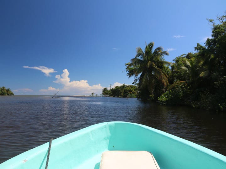 monkey river tour placencia belize