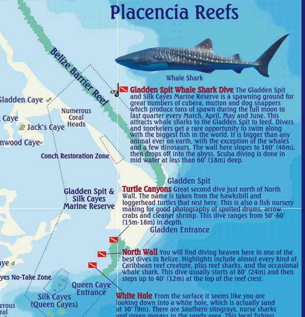 Map of Gladden Spit Belize