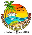 Placencia Snorkeling