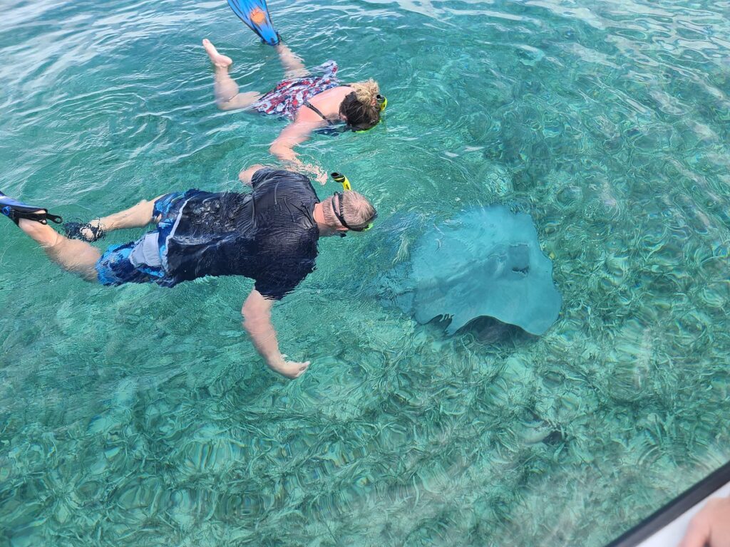 couples snorkeling stingray