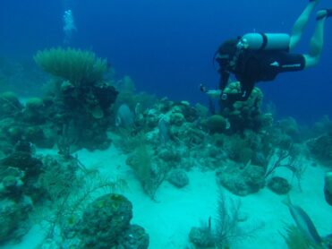 scuba diver with go pro