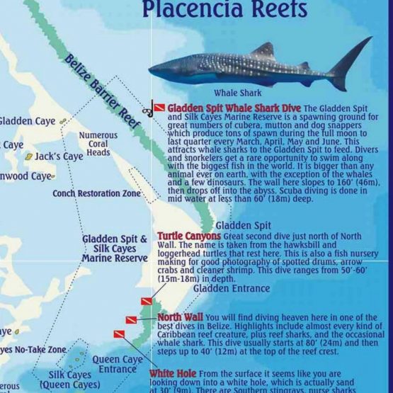 Map of Gladden Spit Belize