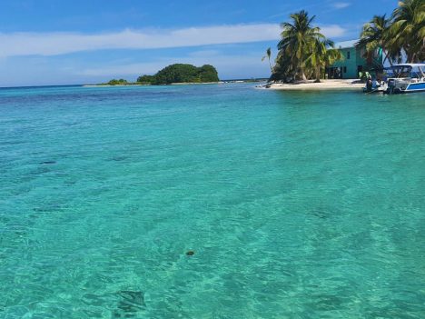 turquoise water at laughingbird caye