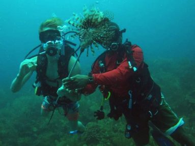 lionfish on spear