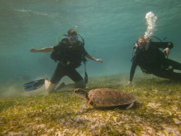 diving in Belize