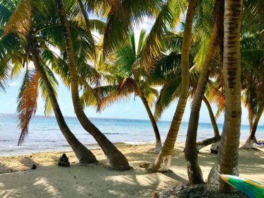 national park belize