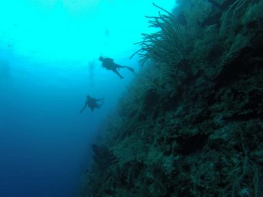 scuda dive wall site