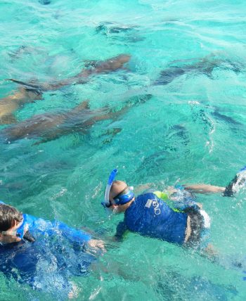 snorkeling in belize kids snorkeling in placencia village